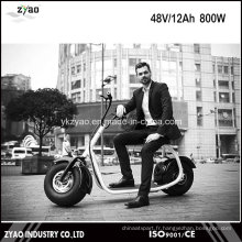 2016 Scooter Electrique Adulte sans Brushless style Harley Style 2016